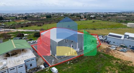 Продаж - Бізнес 1375 m² В Пафосе