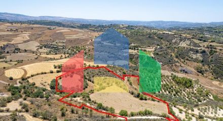 For Sale - Land 29098 m² in Paphos