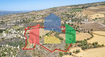 For Sale - Land 29098 m² in Paphos