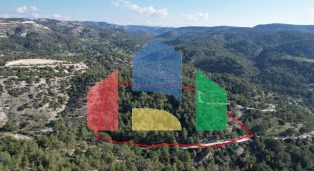 For Sale - Land 27760 m² in Paphos