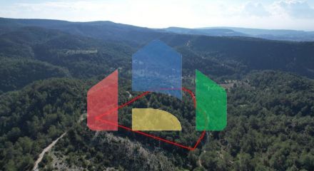 For Sale - Land 27760 m² in Paphos