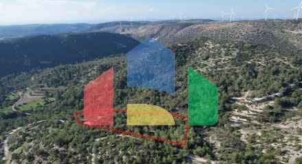 For Sale - Land 27760 m² in Paphos