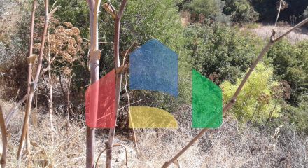 Field in Lasa, Paphos