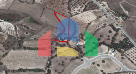 Field in Lasa, Paphos