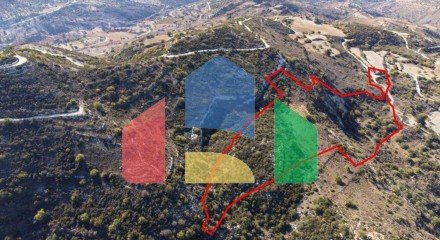 Shared field in Akoursos, Paphos