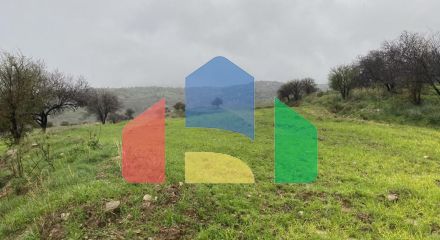 Shared field in Kelokedara, Paphos