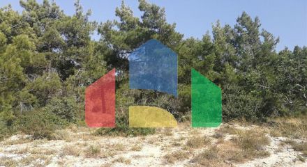 Продаж - Земельна ділянка 9365 m² В Пафосе