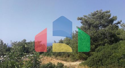 Продаж - Земельна ділянка 9365 m² В Пафосе