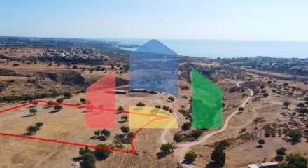 Field in Pegeia, Paphos