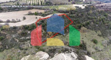 Share of Fields in Agios Dimitrianos