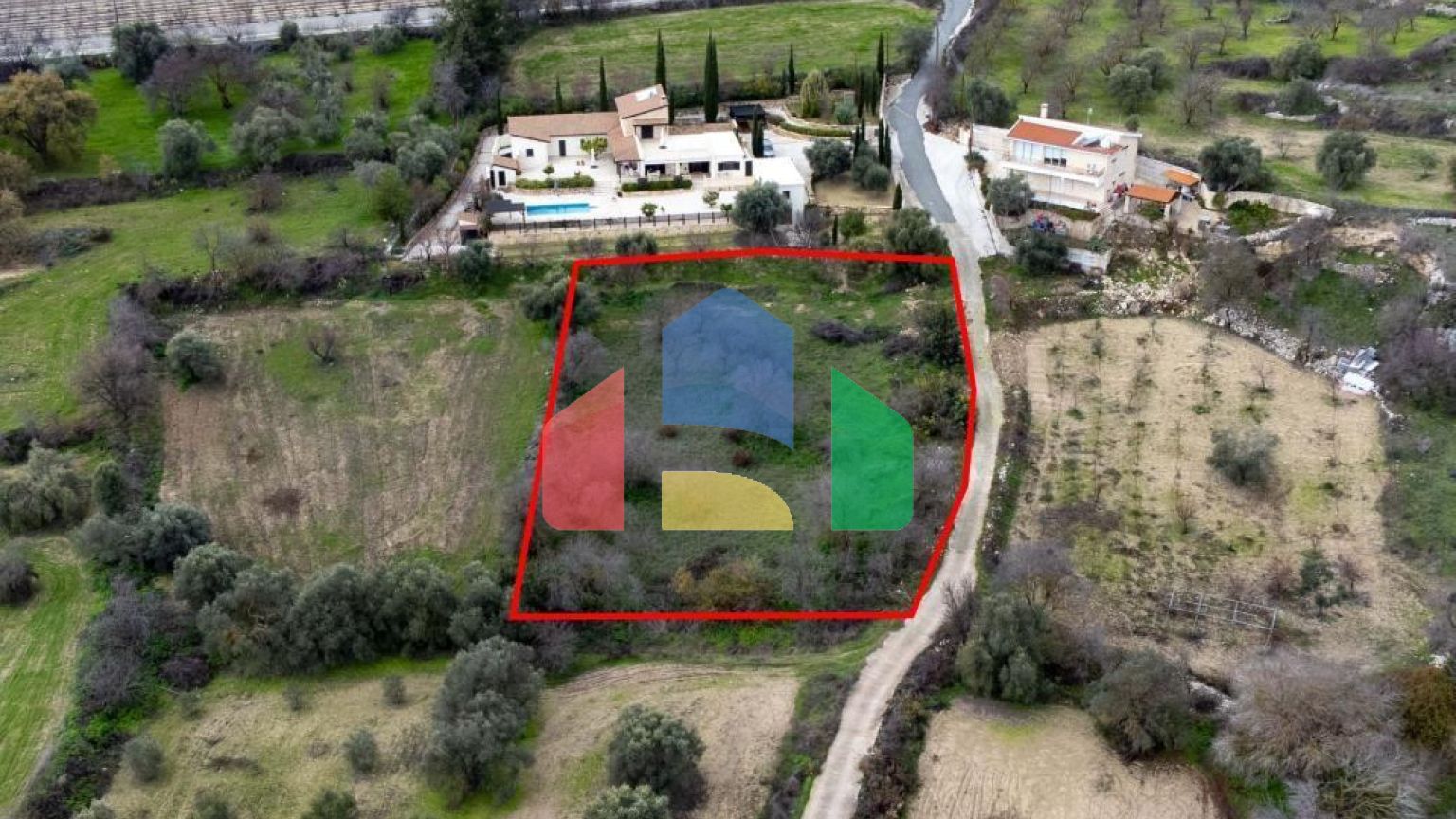 Share of Fields in Agios Dimitrianos