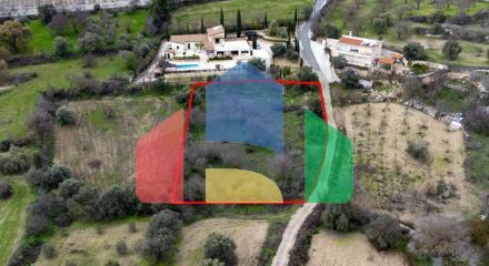 Share of Fields in Agios Dimitrianos