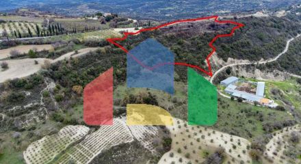 Share of Fields in Agios Dimitrianos