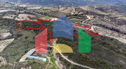 Share of Fields in Agios Dimitrianos