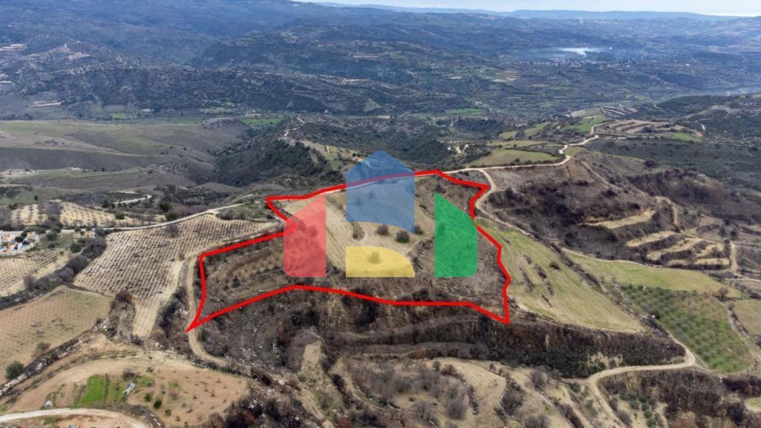 Share of Fields in Agios Dimitrianos
