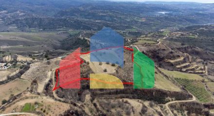 Share of Fields in Agios Dimitrianos