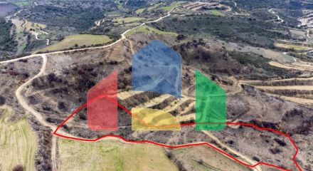 Share of Fields in Agios Dimitrianos