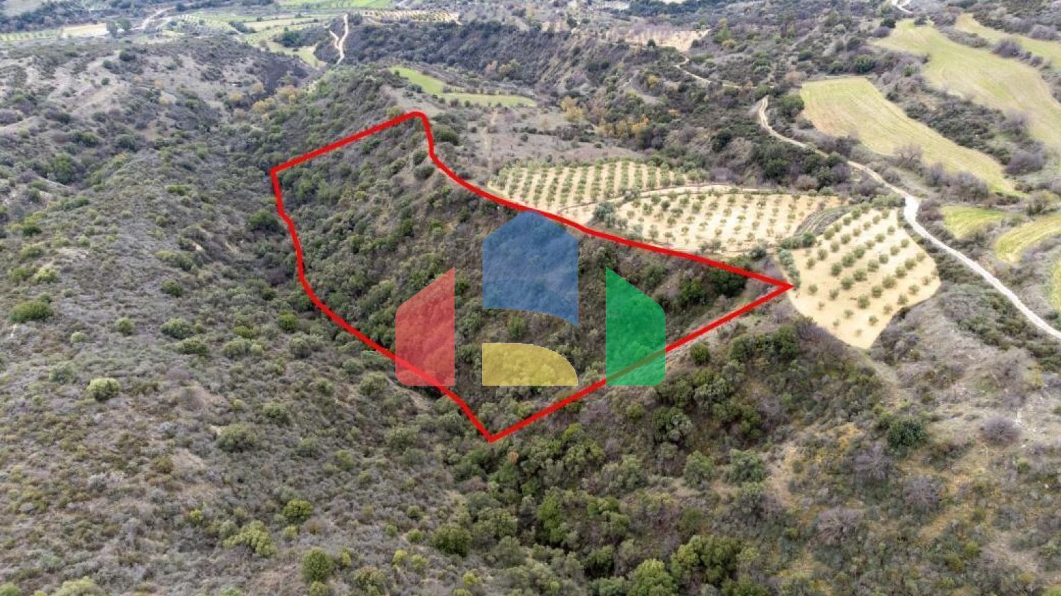 Share of Fields in Agios Dimitrianos
