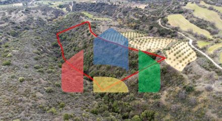 Share of Fields in Agios Dimitrianos