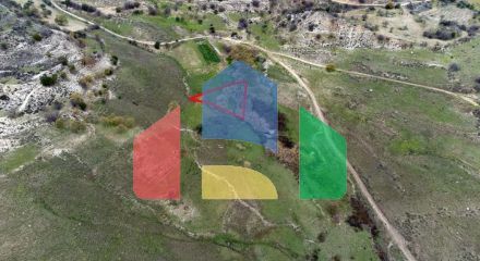 Share of Fields in Agios Dimitrianos