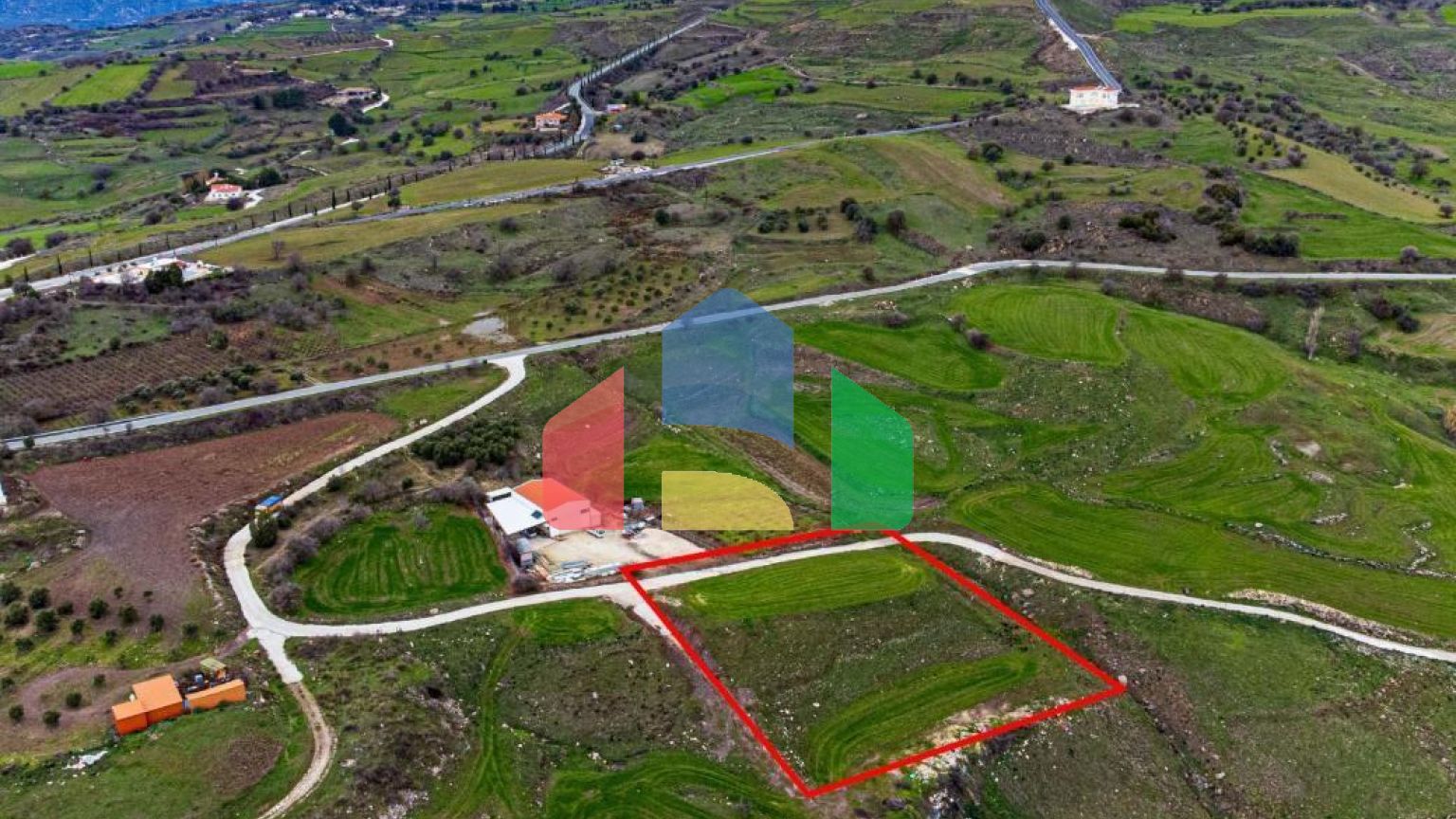 Share of Fields in Agios Dimitrianos