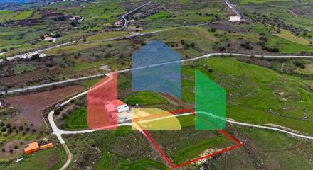 Share of Fields in Agios Dimitrianos