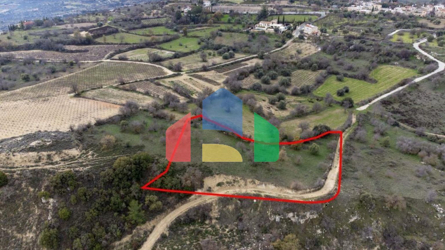 Share of Fields in Agios Dimitrianos