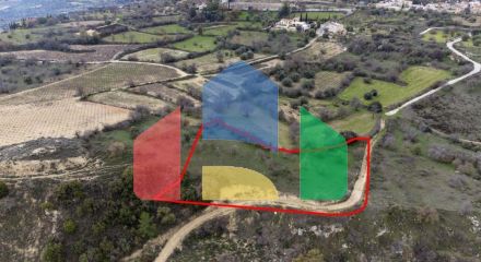 Share of Fields in Agios Dimitrianos