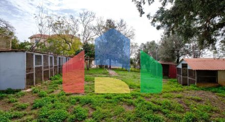 Продажа - Коттедж 690 m² в Пафосе