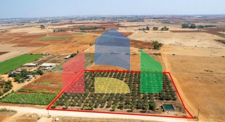 Продажа - Земельный участок 9384 m² в Айя-Напе
