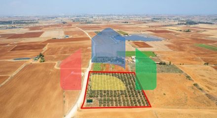 Продажа - Земельный участок 9384 m² в Айя-Напе