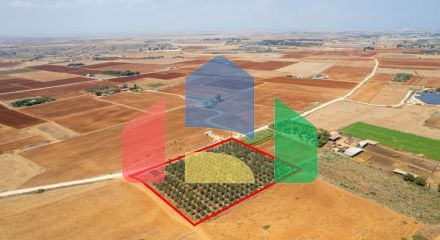 Продажа - Земельный участок 9384 m² в Айя-Напе