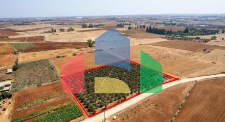Продажа - Земельный участок 9384 m² в Айя-Напе