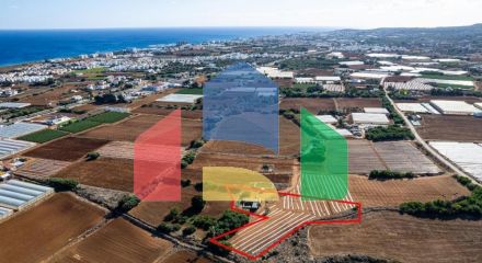 Продажа - Земельный участок 3901 m² в Айя-Напе