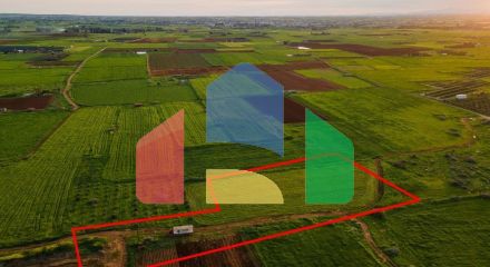 Продажа - Земельный участок 8710 m² в Айя-Напе