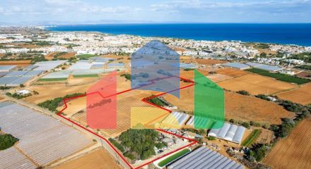 Продажа - Земельный участок 23592 m² в Айя-Напе