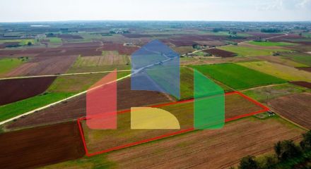 Продажа - Земельный участок 9600 m² в Айя-Напе