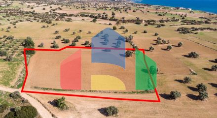 Field in Agios Theodoros, Larnaca