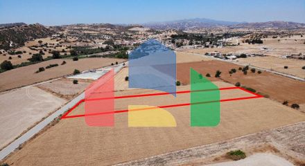 Share of Field in Alaminos, Larnaca