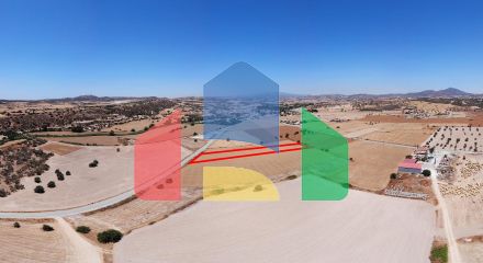 Share of Field in Alaminos, Larnaca