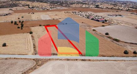 Share of Field in Alaminos, Larnaca
