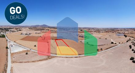 Share of Field in Alaminos, Larnaca
