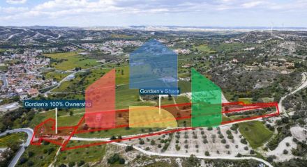 Продаж - Земельна ділянка 29099 m² В Ларнаке