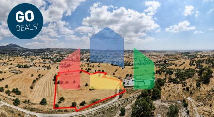 Share of Field in Anglisides, Larnaca