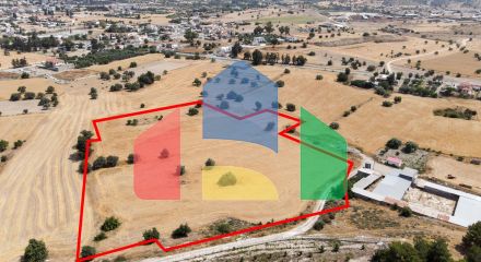 Share of Field in Anglisides, Larnaca