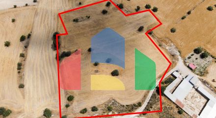 Share of Field in Anglisides, Larnaca