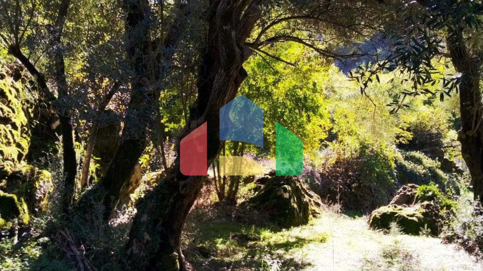 Имение на Скадарском озере