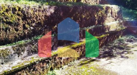 Имение на Скадарском озере