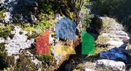 Имение на Скадарском озере