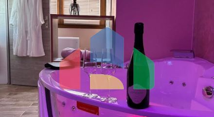 Доходный действующий мини-отель во Франции, Бургундия Доходный действующий мини-отель во Франции, Бургундия